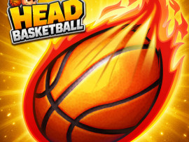 Head Basketball image